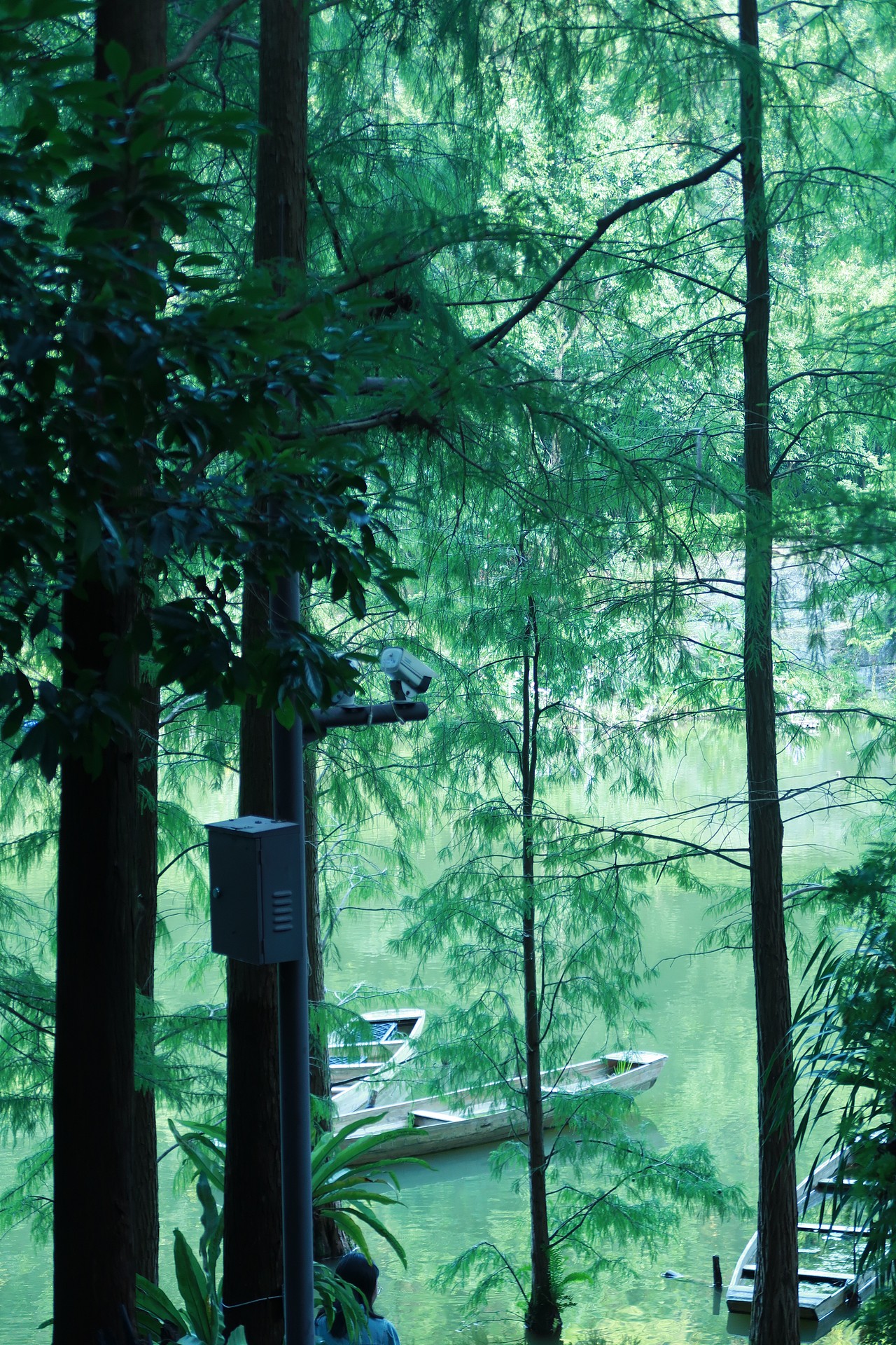 總要去熱愛點(diǎn)什么，不能被這無趣的世界吞沒（圖ZMzYyNzA4OTQw） - 風(fēng)光攝影 - 站酷設(shè)計(jì)師凌聽0原創(chuàng)素材 - 站酷ZCOOL