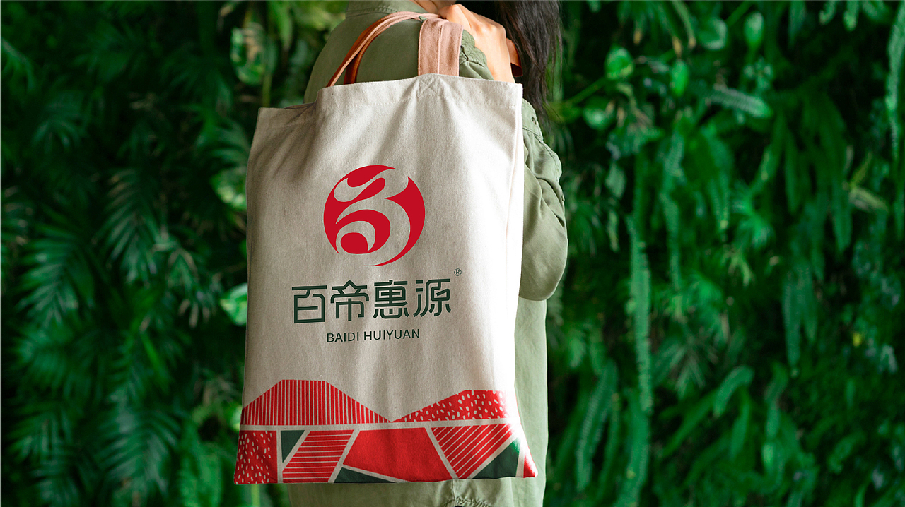 百帝惠源VI设计