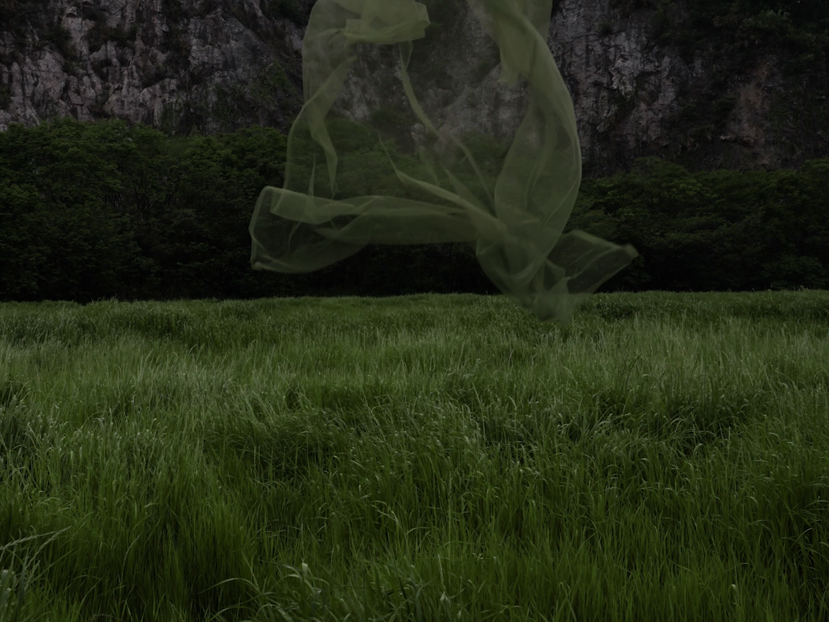 LAN「Newborn」绿意再生 创意实验短片