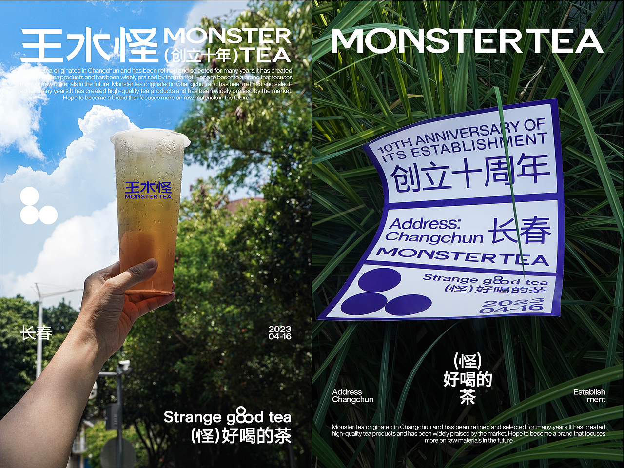 2023品牌包装系统—案例总结