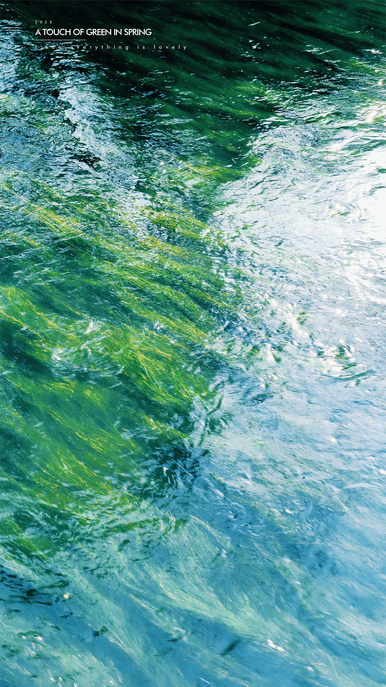 春日里的一抹绿（图ZMzM1NDYyMjQ0） - 风光摄影 - 站酷设计师juvenile奶瓶原创素材 - 站酷ZCOOL