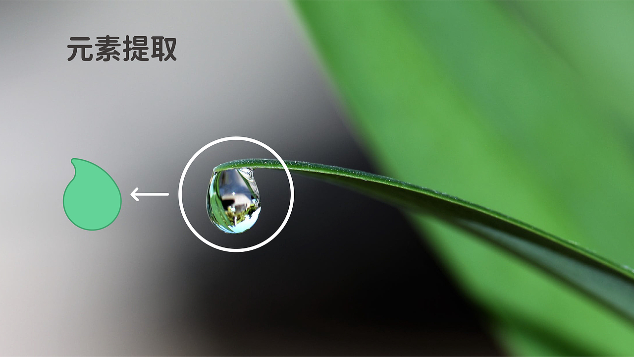 四海龙王IP形象设计