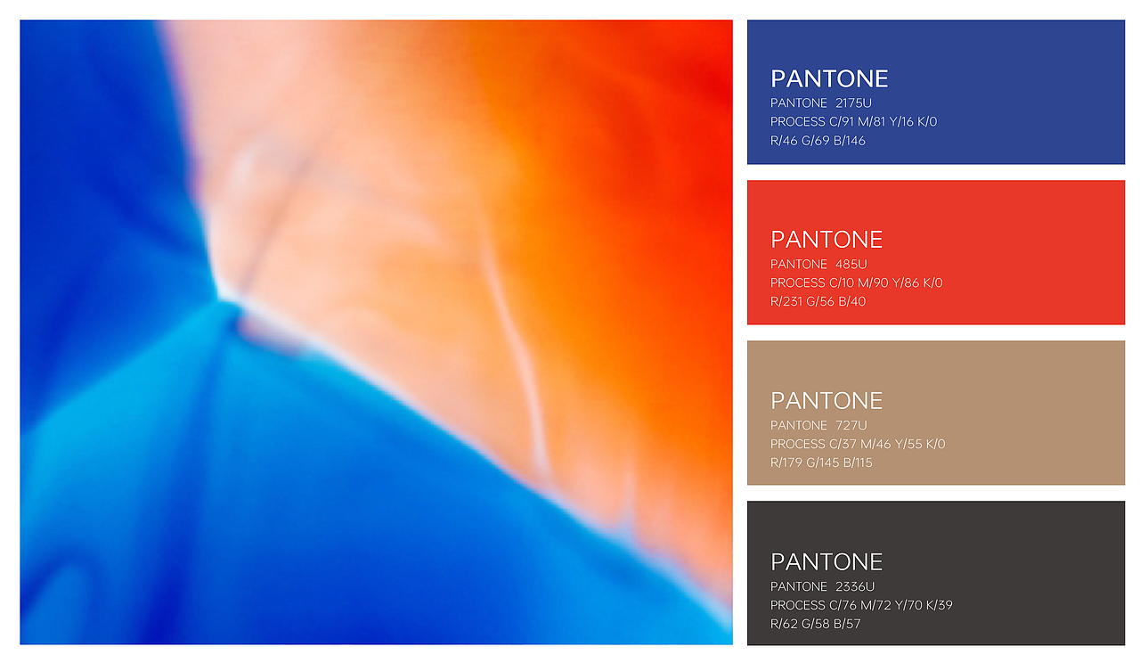 大级餐饮品牌vi设计