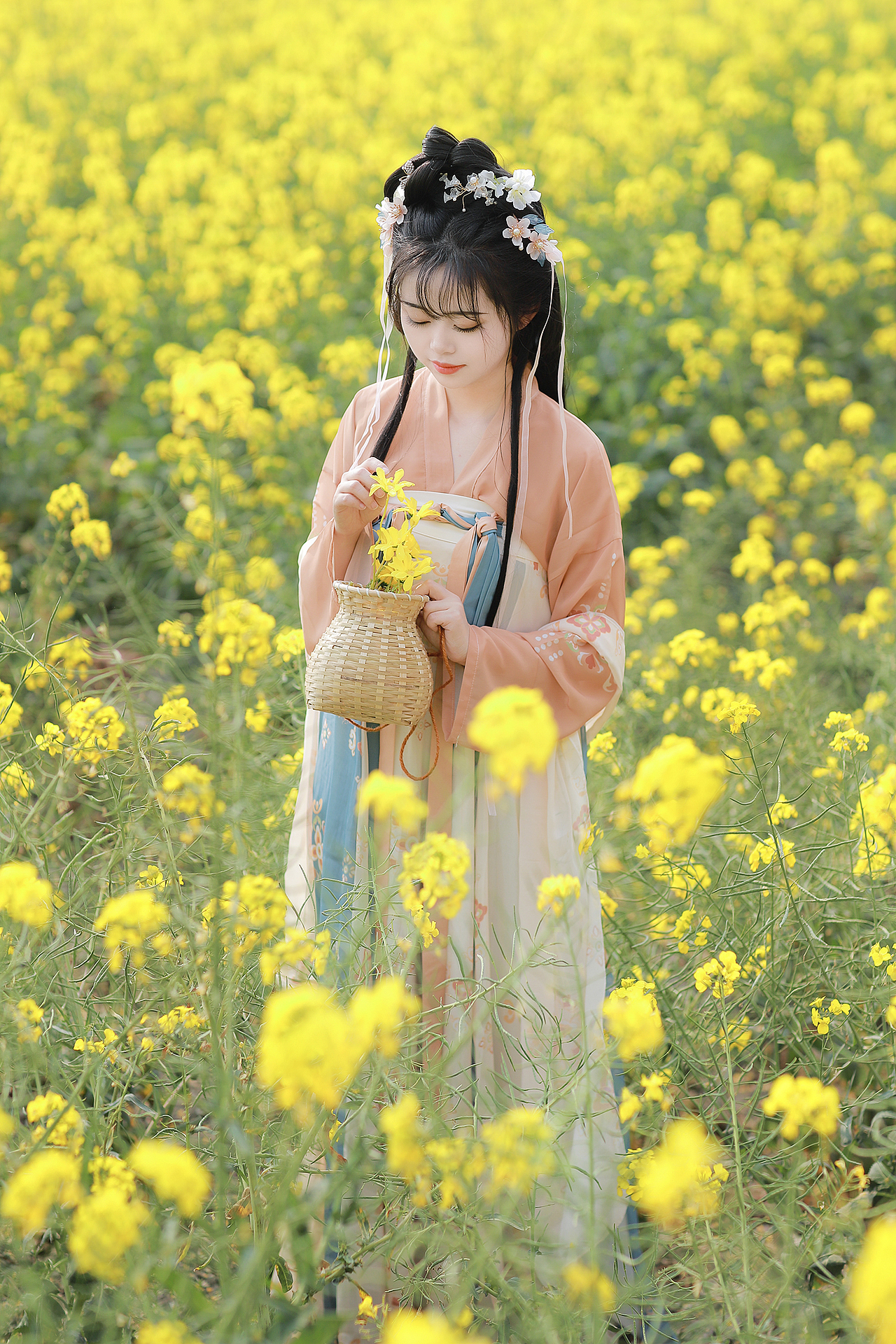 客片合集 ｜油菜花田+金合欢 汉服写真（图ZMzQ4MTQ3MjA0） - 人像摄影 - 站酷设计师成都摄影安静原创素材 - 站酷ZCOOL