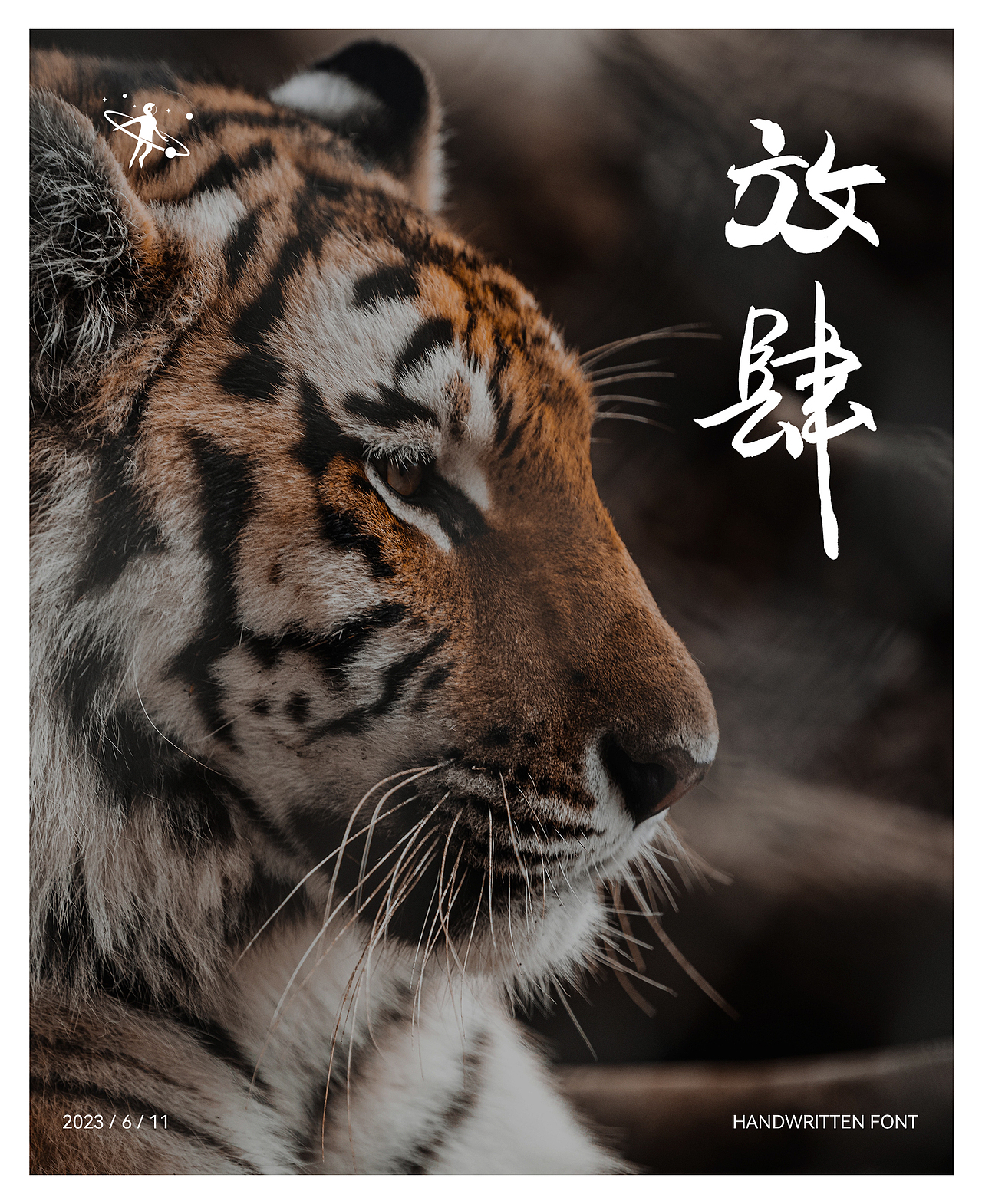 手写字体设计 | 毛笔