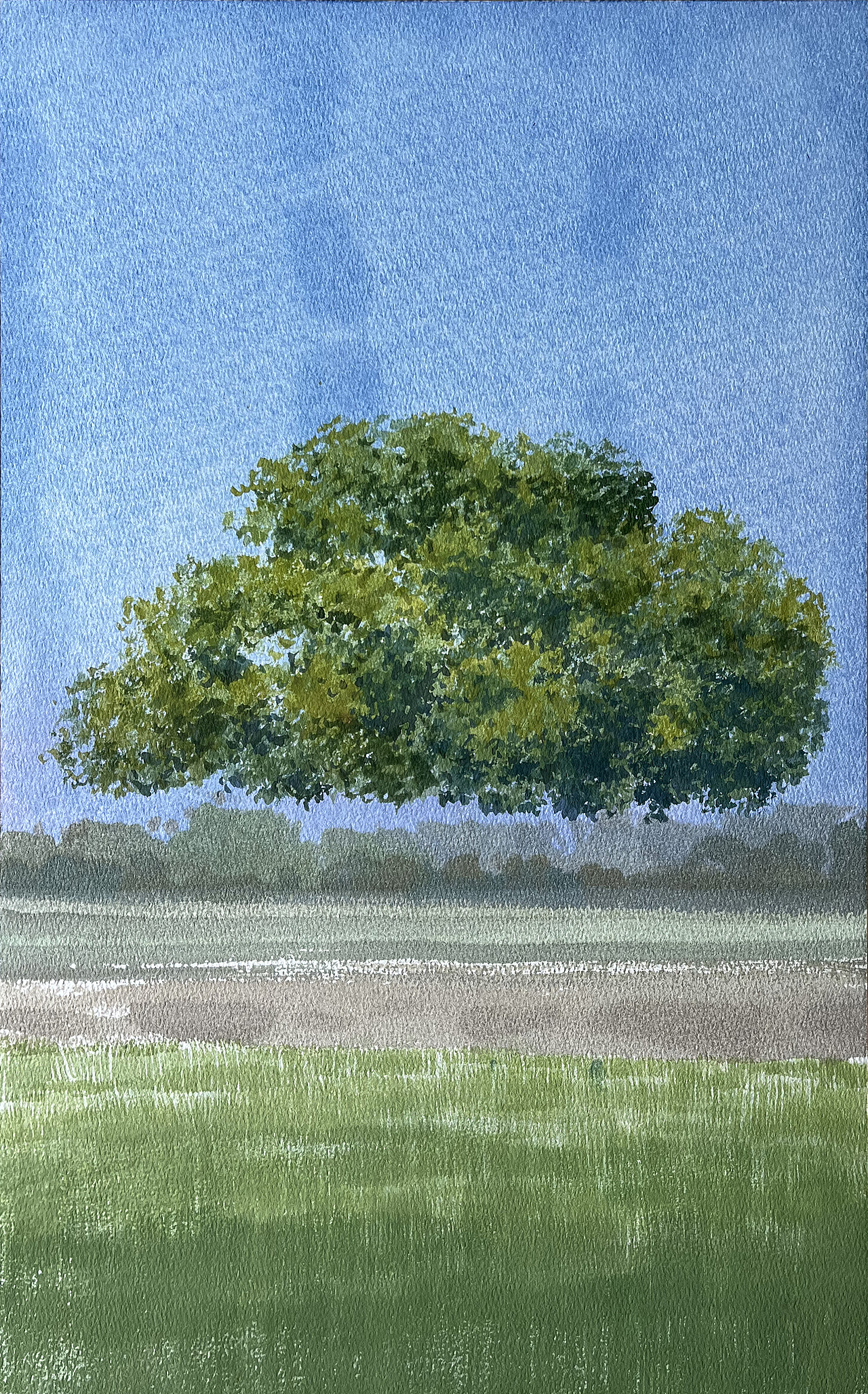 水彩风景——秋天,逃不过那棵树