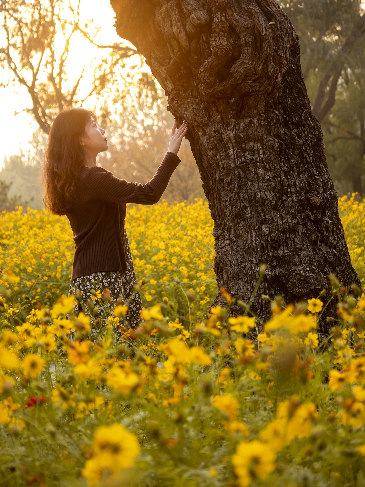 朝阳公园人像摄影