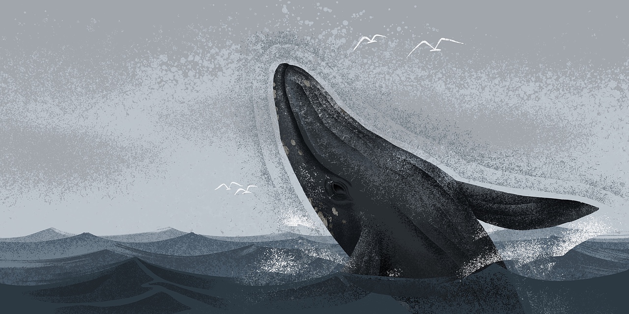 近期插画作品整合（图ZMzE2NDg3NTc2） - 商业插画 - 站酷设计师北魏设计师原创素材 - 站酷ZCOOL