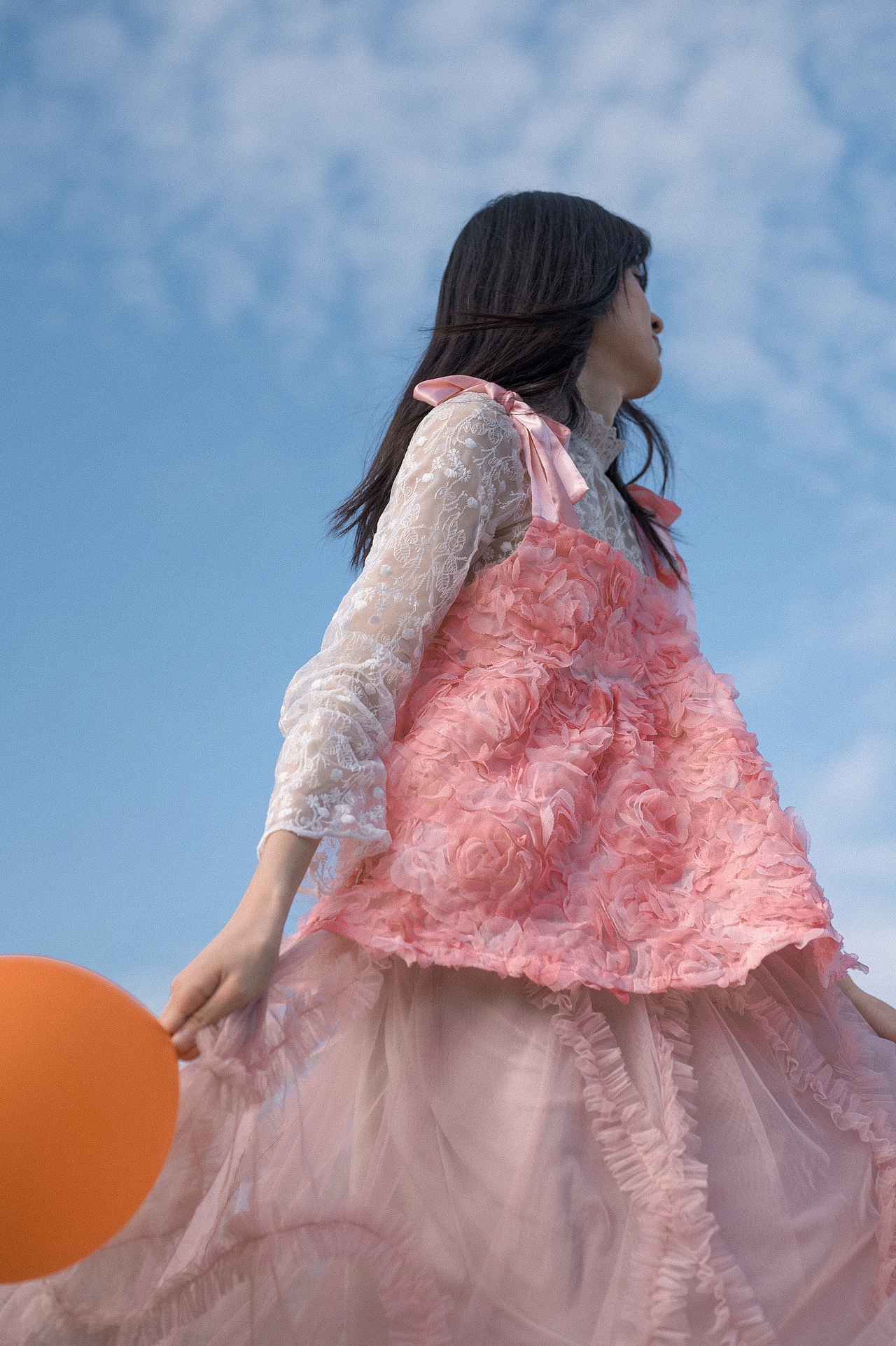 我向往天空的自由