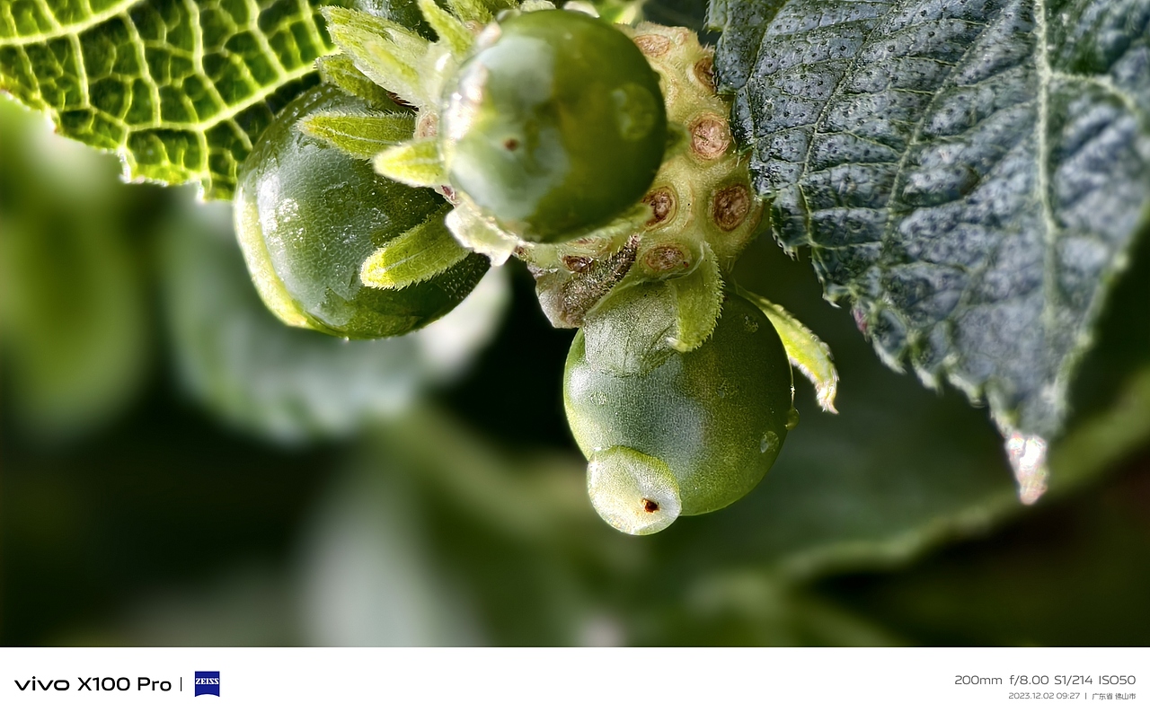 拍照意义｜平淡的日子也很美（图ZMzU3MDgyOTU2） - 人文/纪实摄影 - 站酷设计师Celliu原创素材 - 站酷ZCOOL