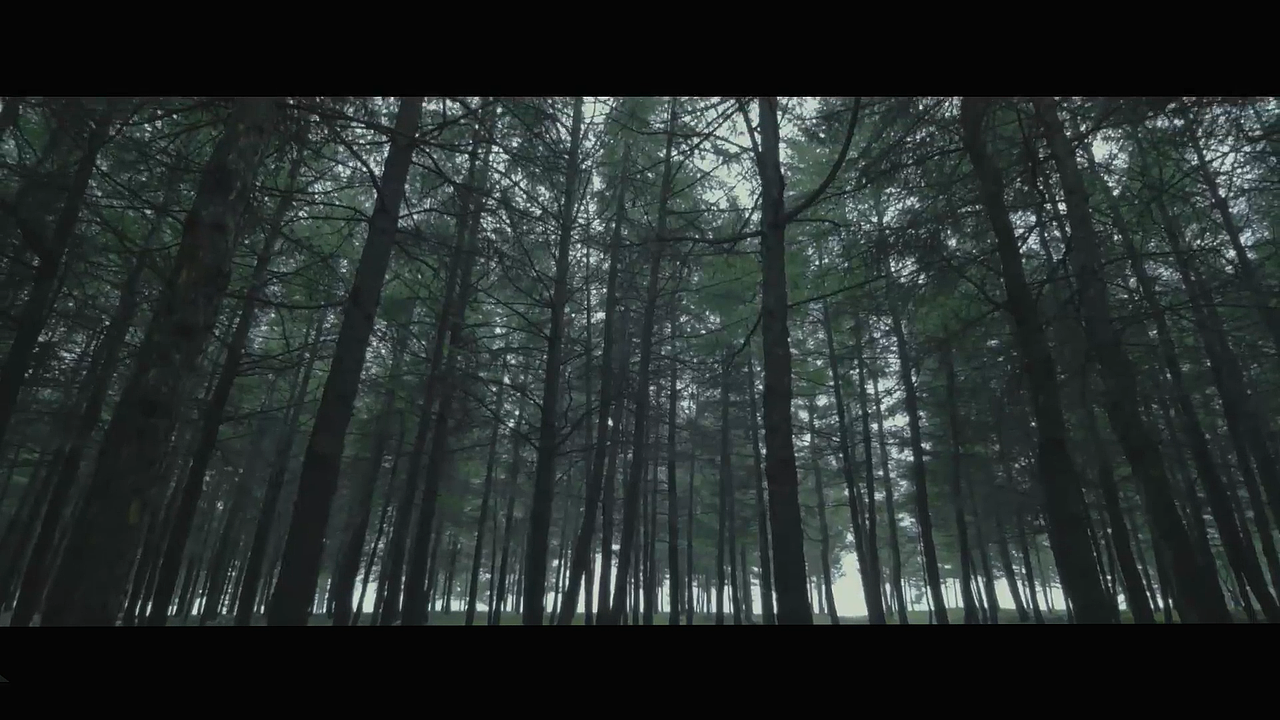 铜木主义家具宣传片-剪辑