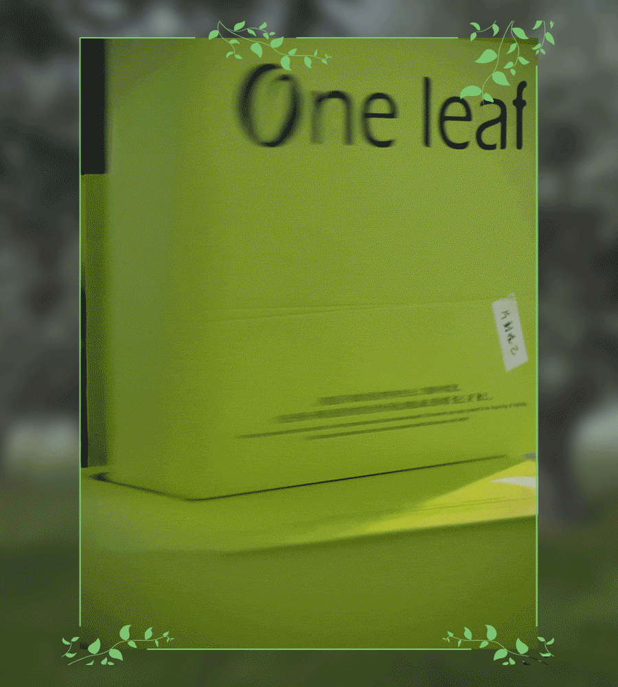 One leaf 一叶子×天猫七夕节|悦己礼盒CG