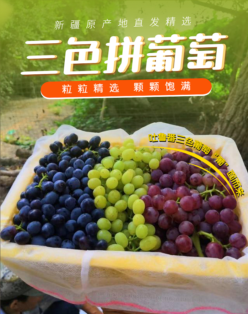 小花集市三色葡萄详情页（图ZMzI1MTYxODI4） - 电商 - 站酷设计师小HUA同学原创素材 - 站酷ZCOOL