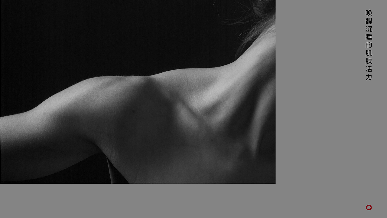 峙岛个护品牌包装全案