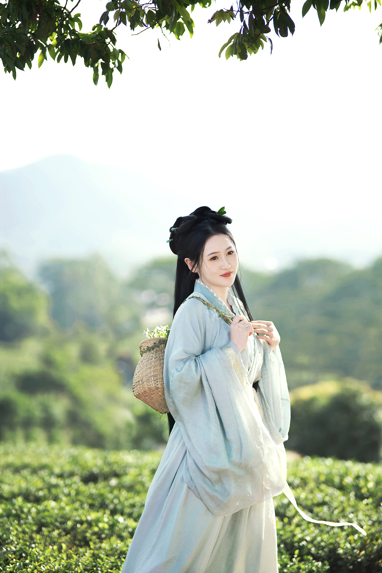 春季有采茶女｜江南故乡 惠州约拍柏塘茶园！