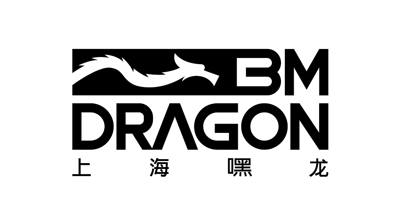Black Mountain Dragon - Import and export company（图ZMzE5MDkyMjIw） - Logo - 站酷设计师rauli_design原创素材 - 站酷ZCOOL