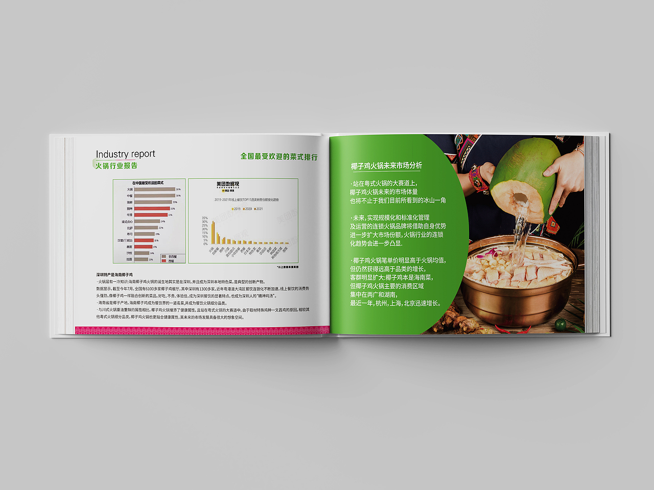 椰夫人|椰子鸡火锅|品牌画册|招商手册|融资手册