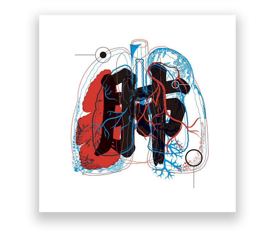 《脏腑病因条辨》龙鳞装