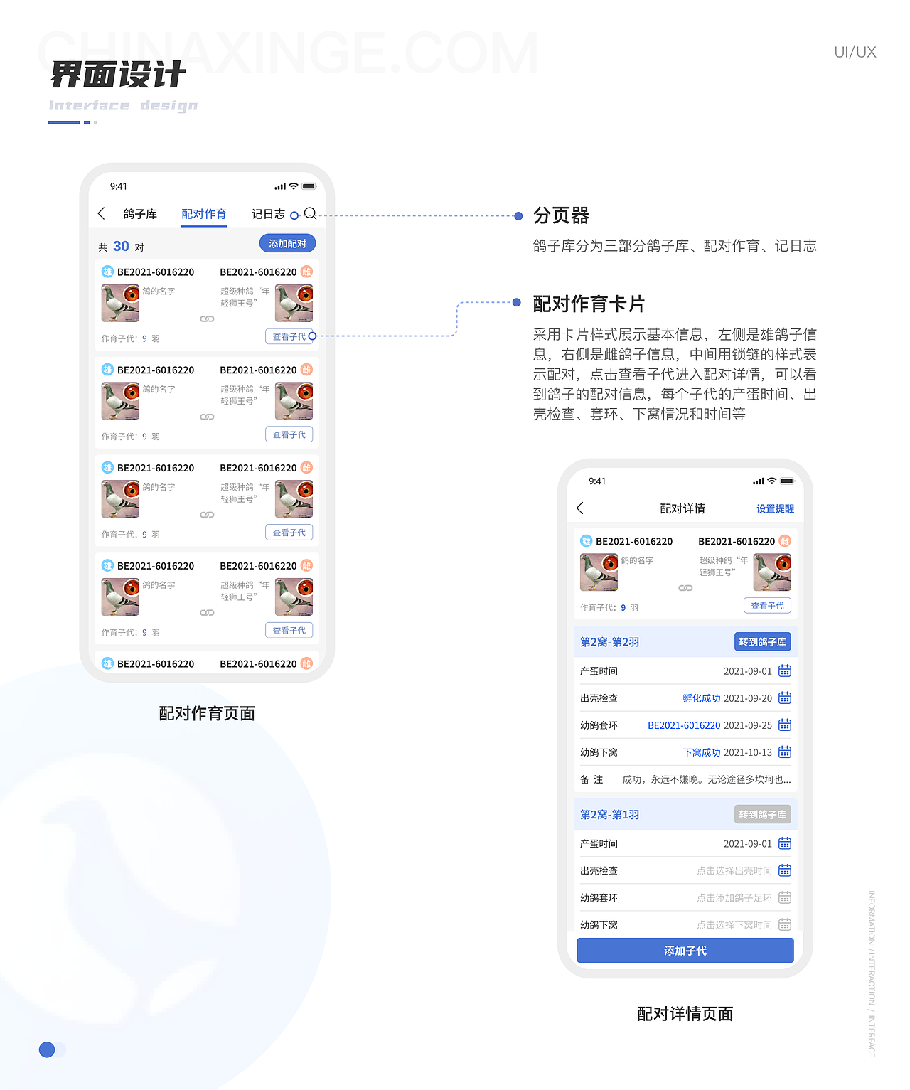 鸽子库（图ZMzMzMzQ1NjM2） - APP界面 - 站酷设计师稳中略带皮原创素材 - 站酷ZCOOL