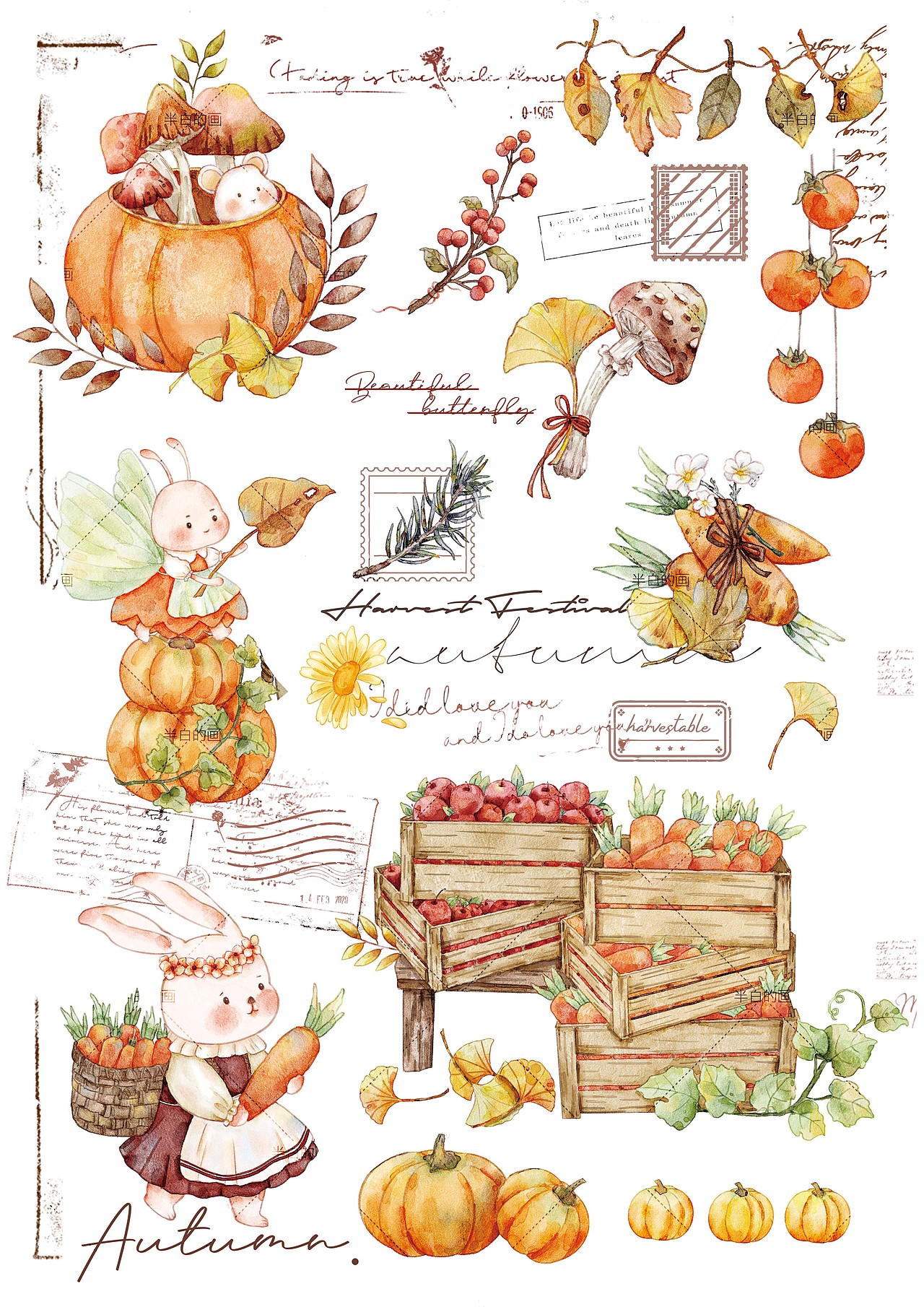 植物花卉图鉴插画