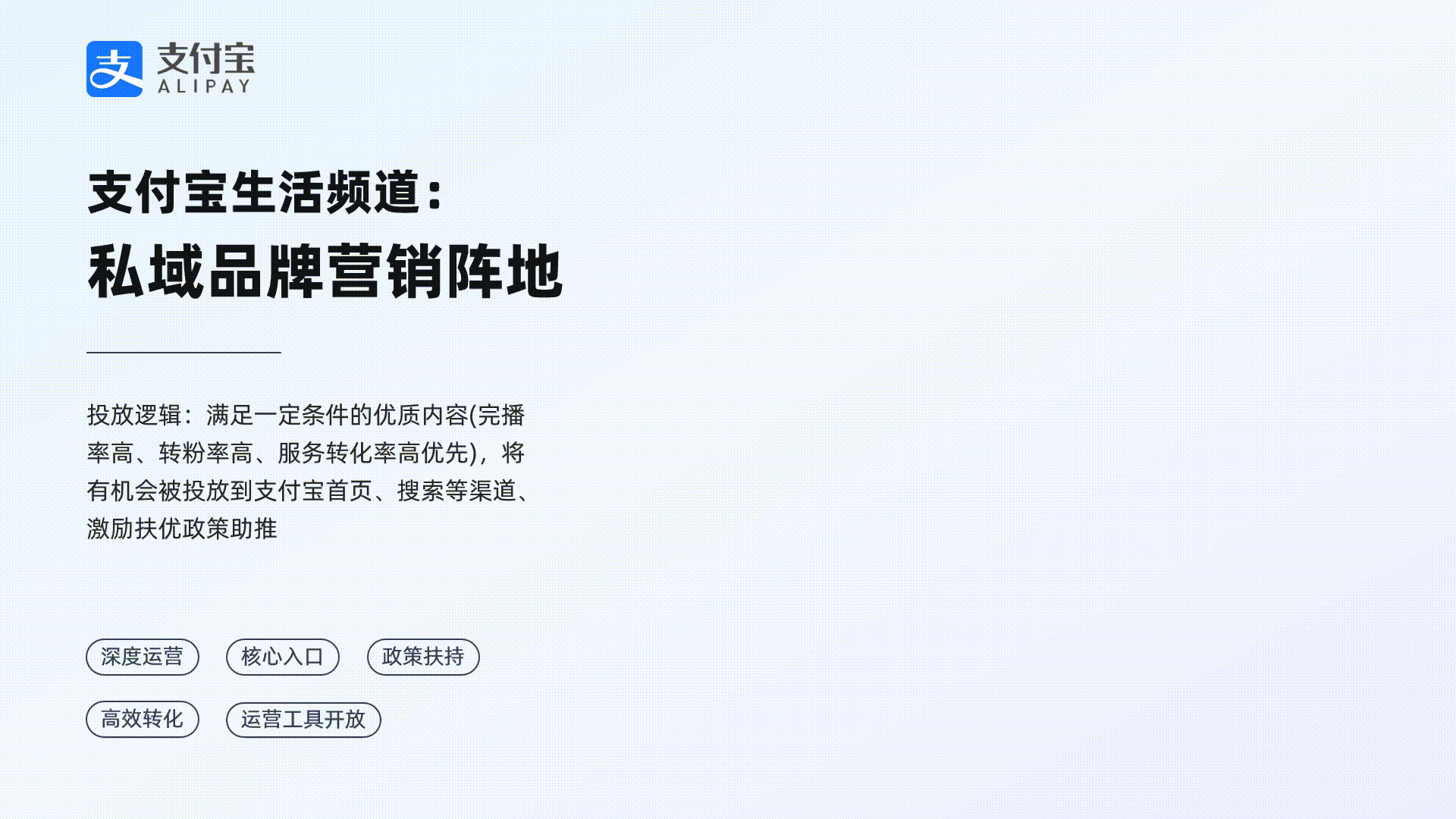 PPT定制设计——支付宝私域运营操作指南