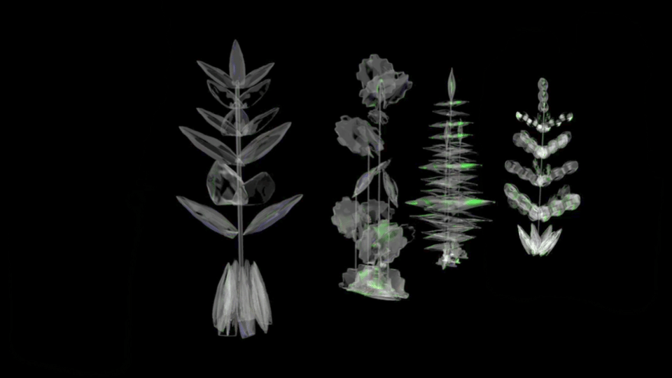 #2022青春答卷#绕道而行