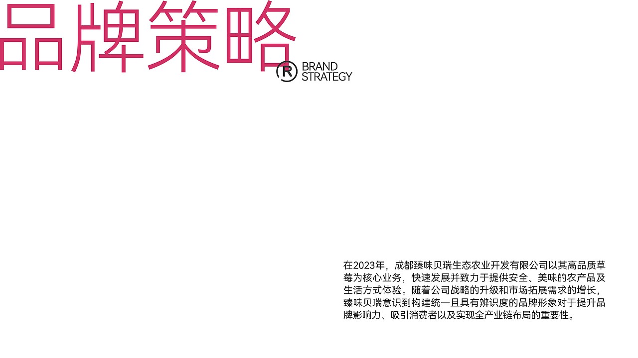 英迈品牌设计2023@案例合集（下）  策略/视觉/运营  