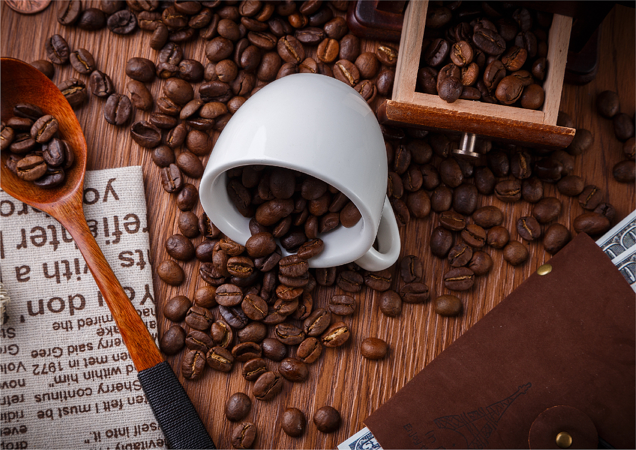 鲸鱼咖啡馆品牌延展logo