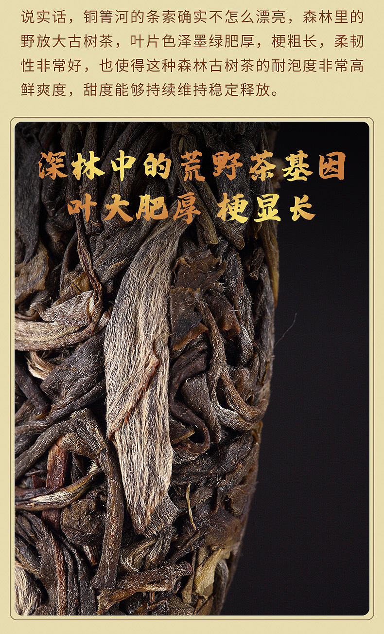 普洱茶生茶铜箐河