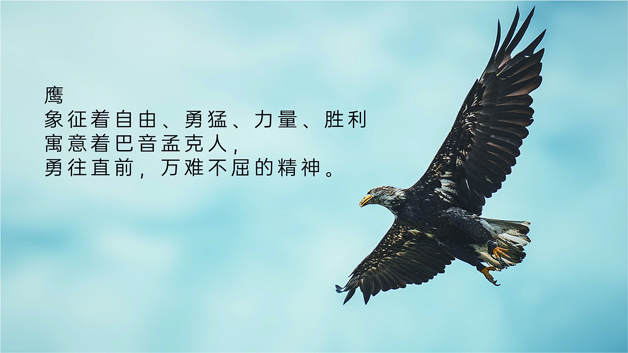 logo 设计提案（图ZMzYxMjYxODI4） - Logo - 站酷设计师星雨亮满天原创素材 - 站酷ZCOOL