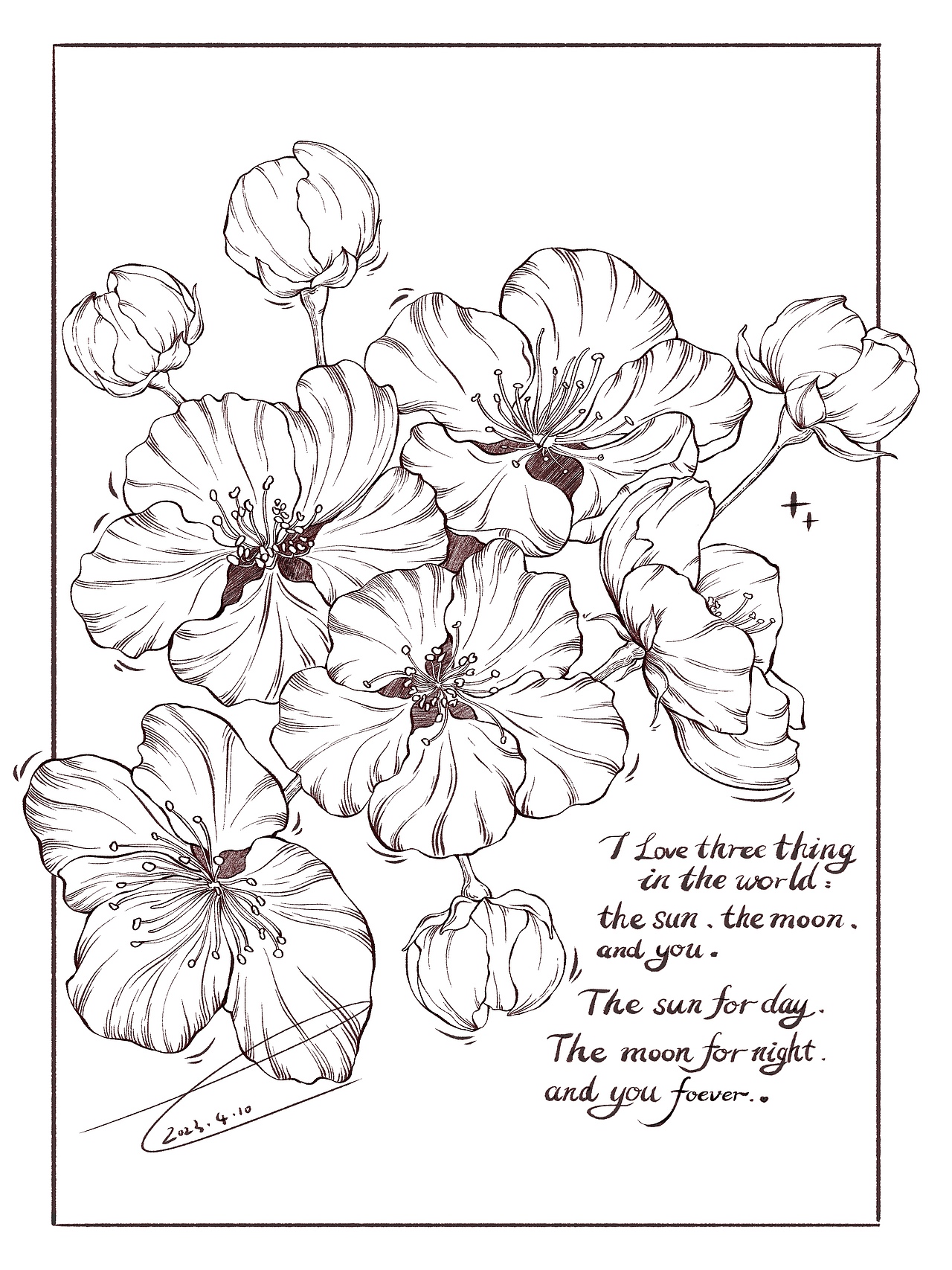 植物线稿创作合集（图ZMzQzMzA2MDIw） - 创作习作 - 站酷设计师禾二有四点原创素材 - 站酷ZCOOL