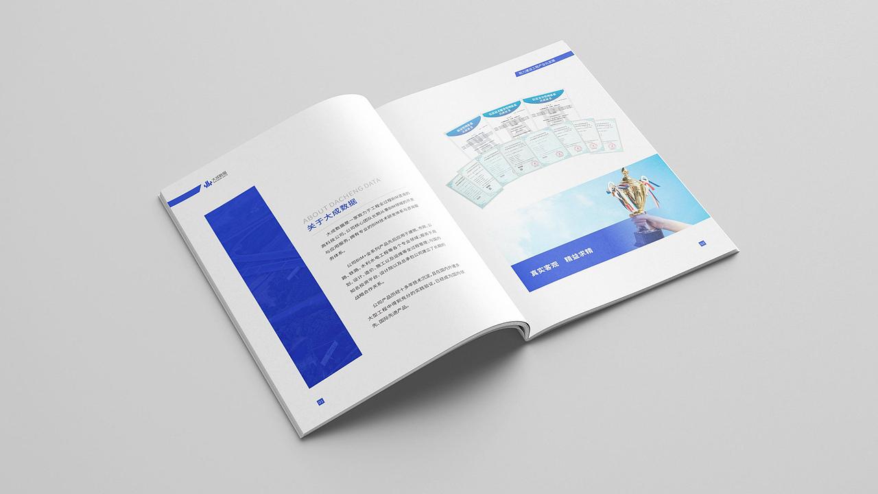 大成数据 | 建筑工程领域BIM品牌升级