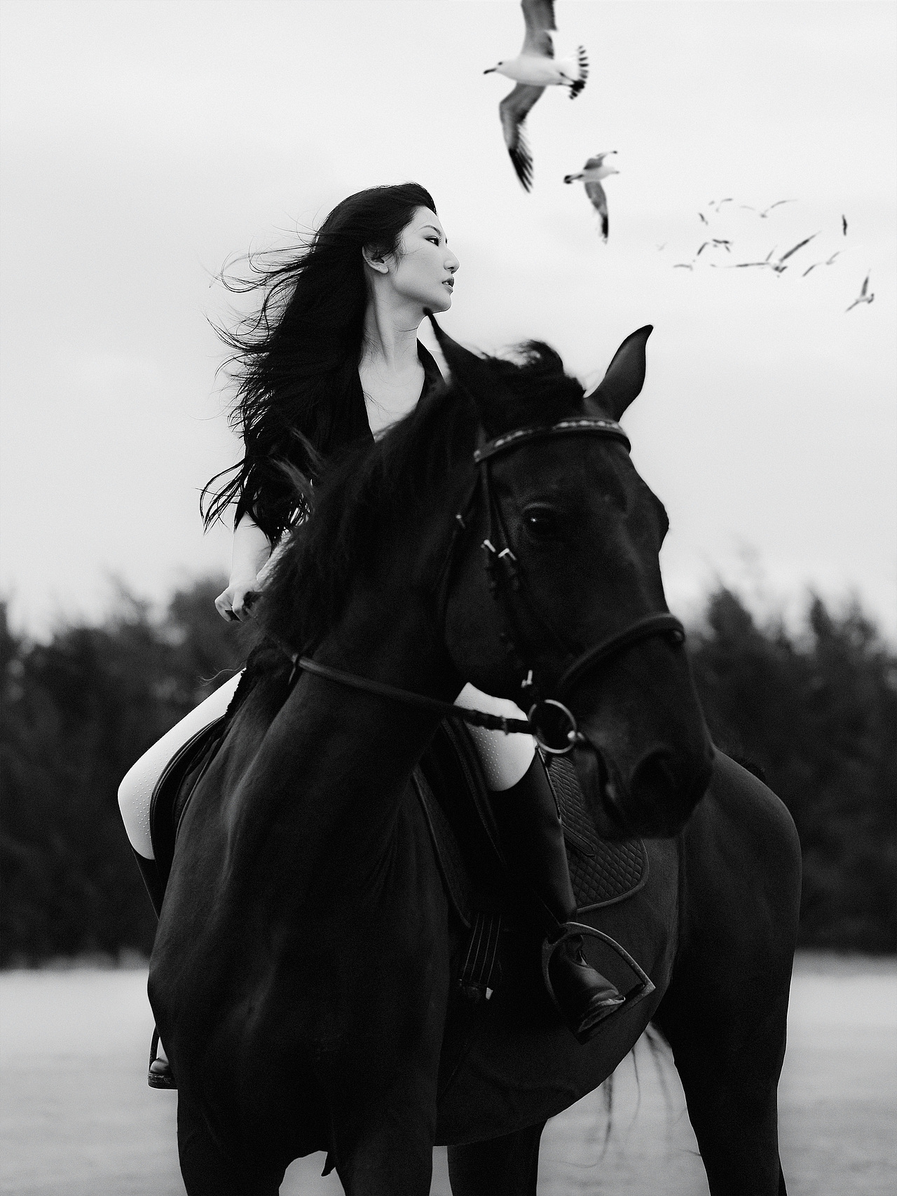 Collection best of 2022