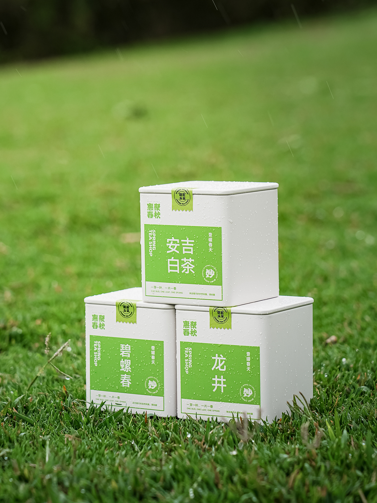 壹盒春天 六大绿茶礼盒商业摄影（图ZMzM1NjM2MjQ4） - 产品摄影 - 站酷设计师Mr.轻尘原创素材 - 站酷ZCOOL