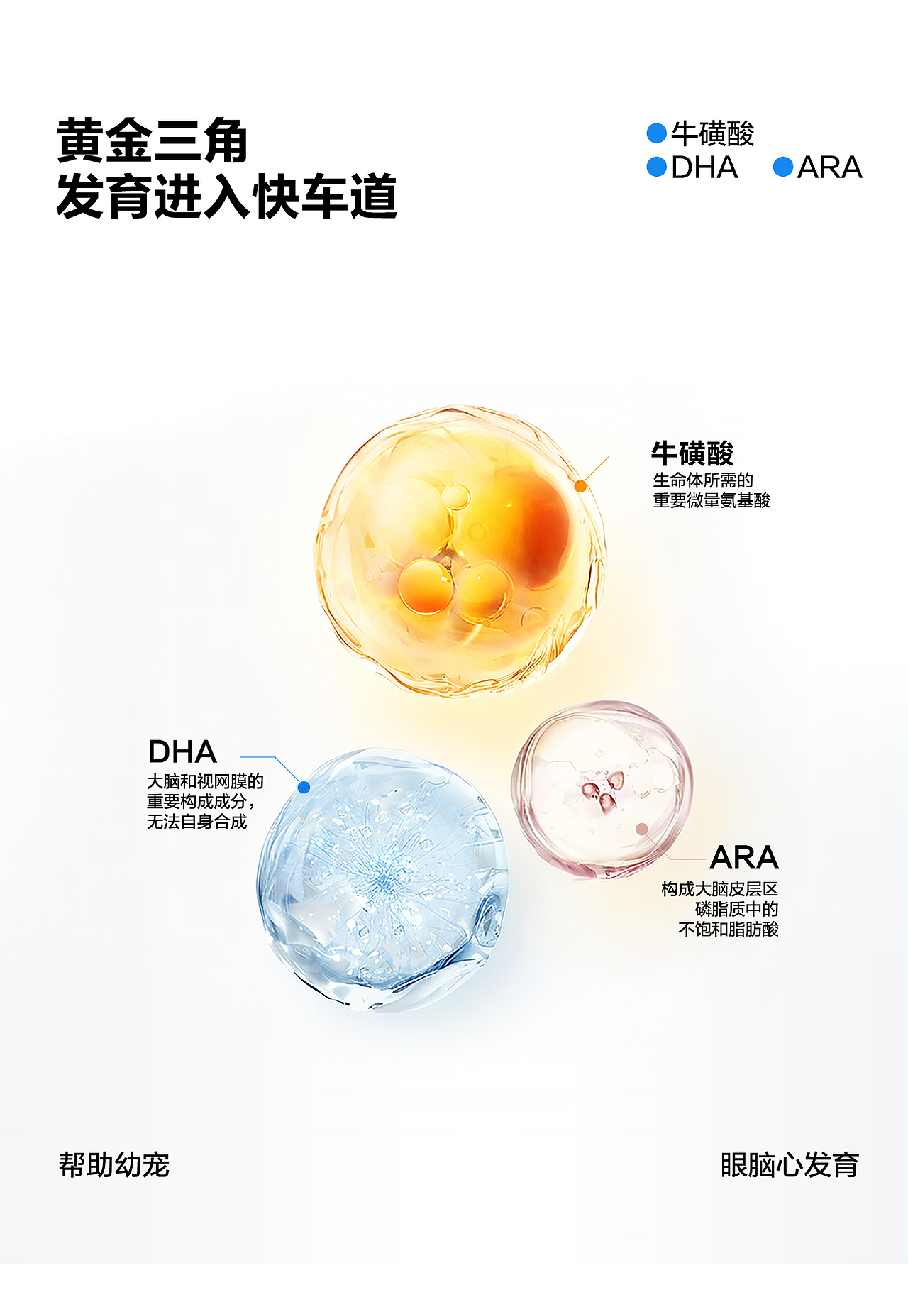 nurans纽然氏×宠物保健食品（图ZMzY1NjA4NzI0） - 品牌 - 站酷设计师AZE________原创素材 - 站酷ZCOOL