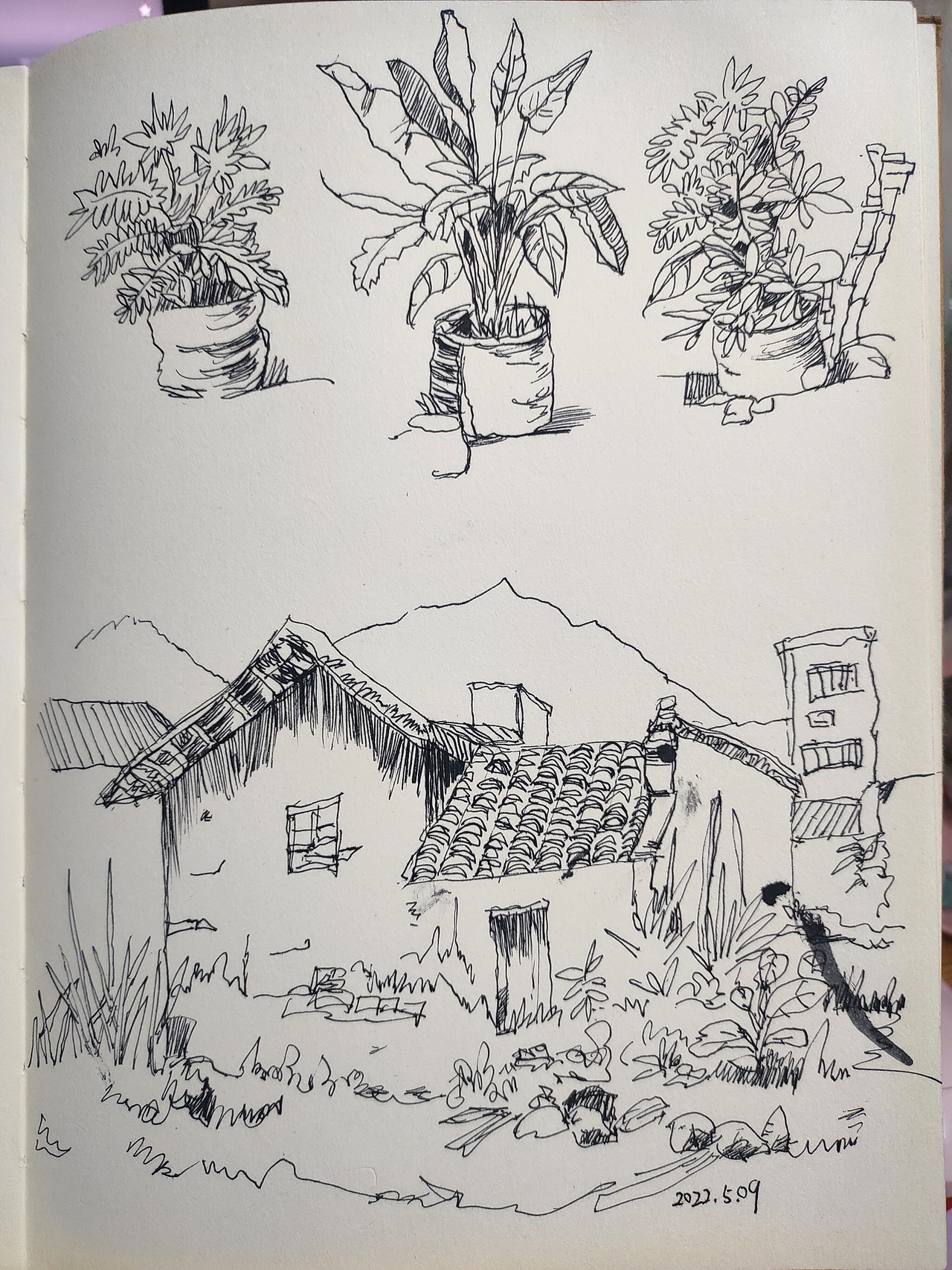 画画小本子完成啦