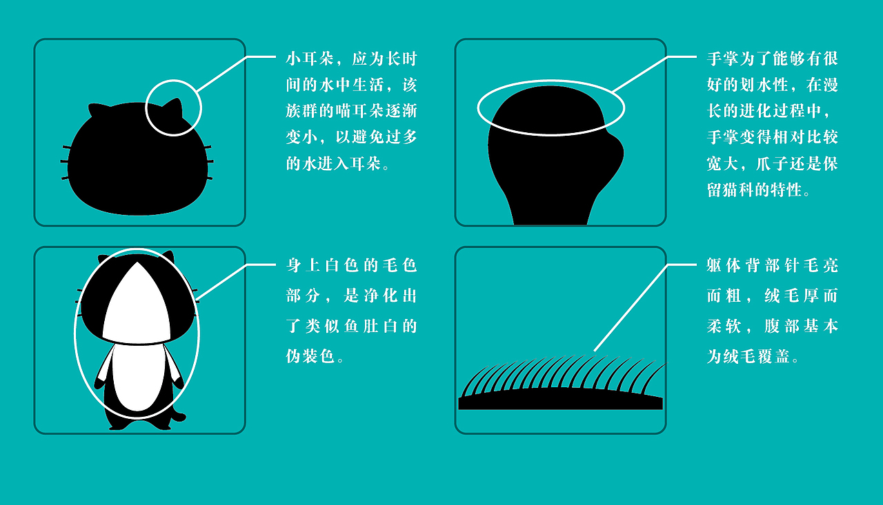 “喵海”设定（大海归你们，鱼都是我的！）（图ZMjk2NjU2OTE2） - IP形象 - 站酷设计师掌生鼓力文化传播原创素材 - 站酷ZCOOL