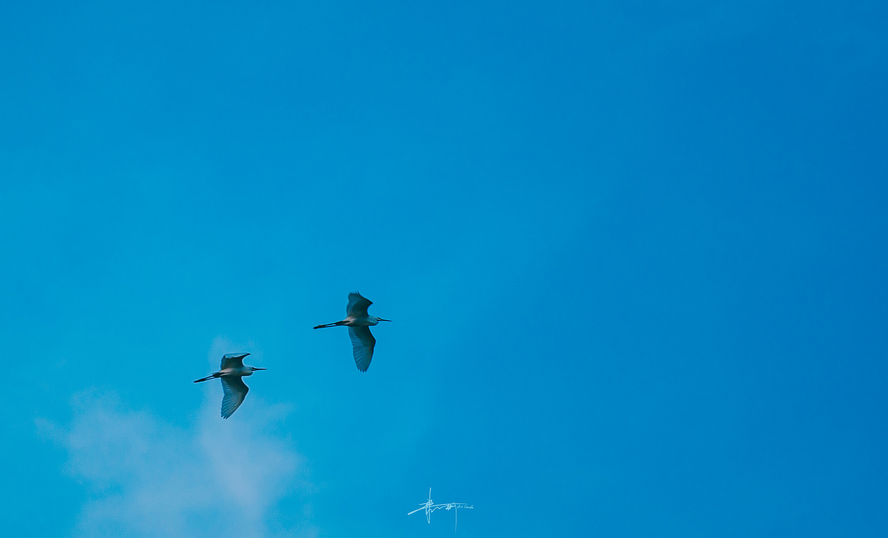 去看看海虽没遇上日出——湛江东海岛（图ZMzMxOTI5MjYw） - 人文/纪实摄影 - 站酷设计师木杉远望原创素材 - 站酷ZCOOL