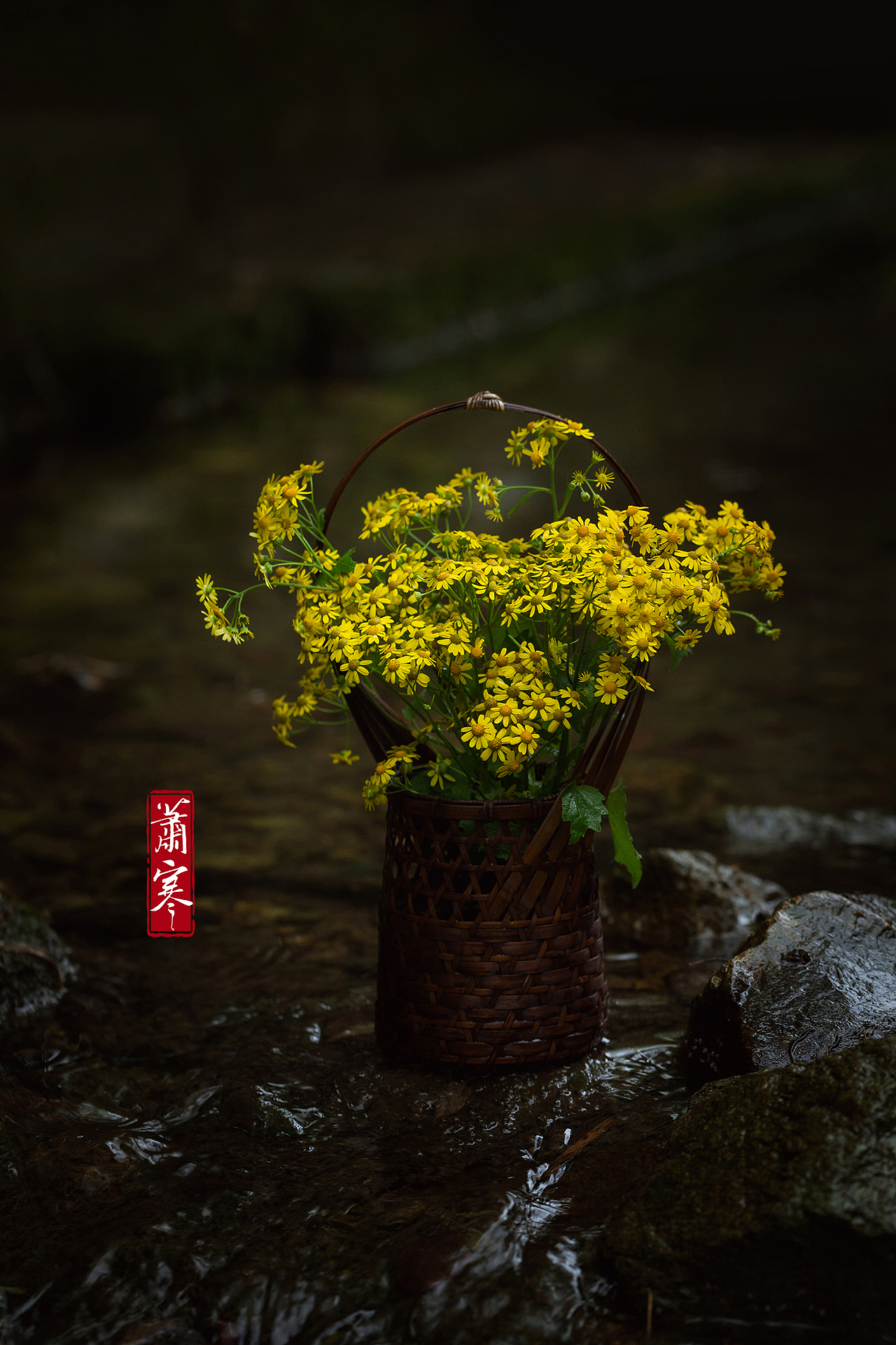 闲野 | 初夏轻黄小小花