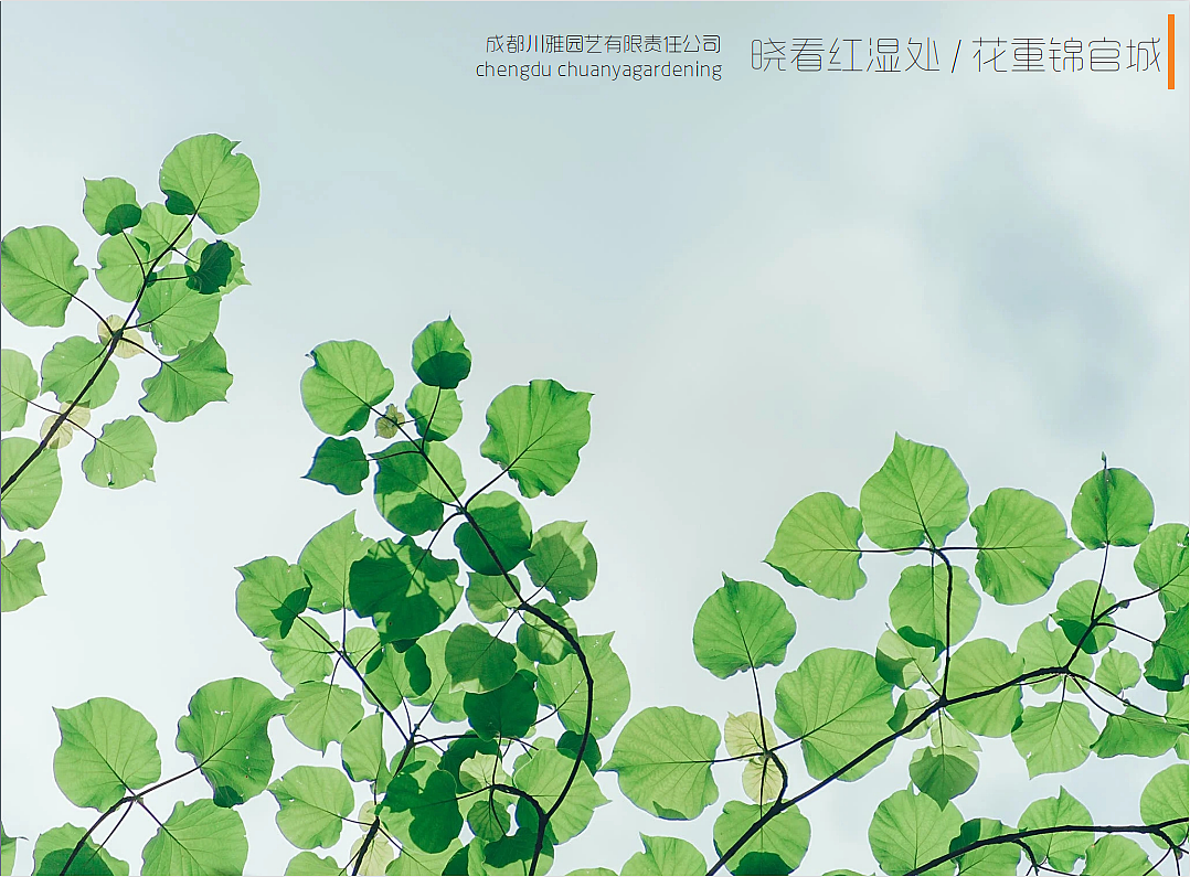 花卉园艺画册设计