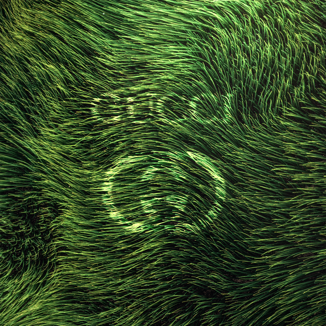 产品概念渲染-GUCCI香水产品渲染（图ZMzY4OTcwMDA0） - 产品 - 站酷设计师基纳原创素材 - 站酷ZCOOL