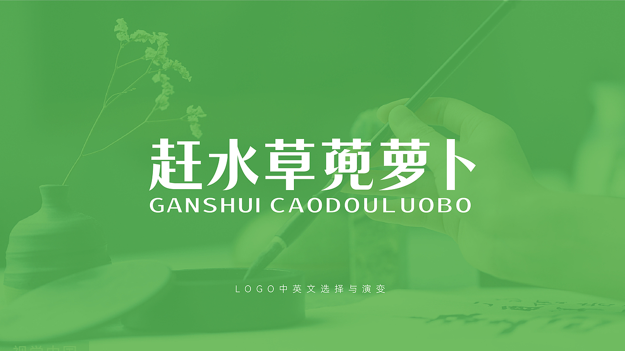 綦江赶水萝卜品牌全案策划