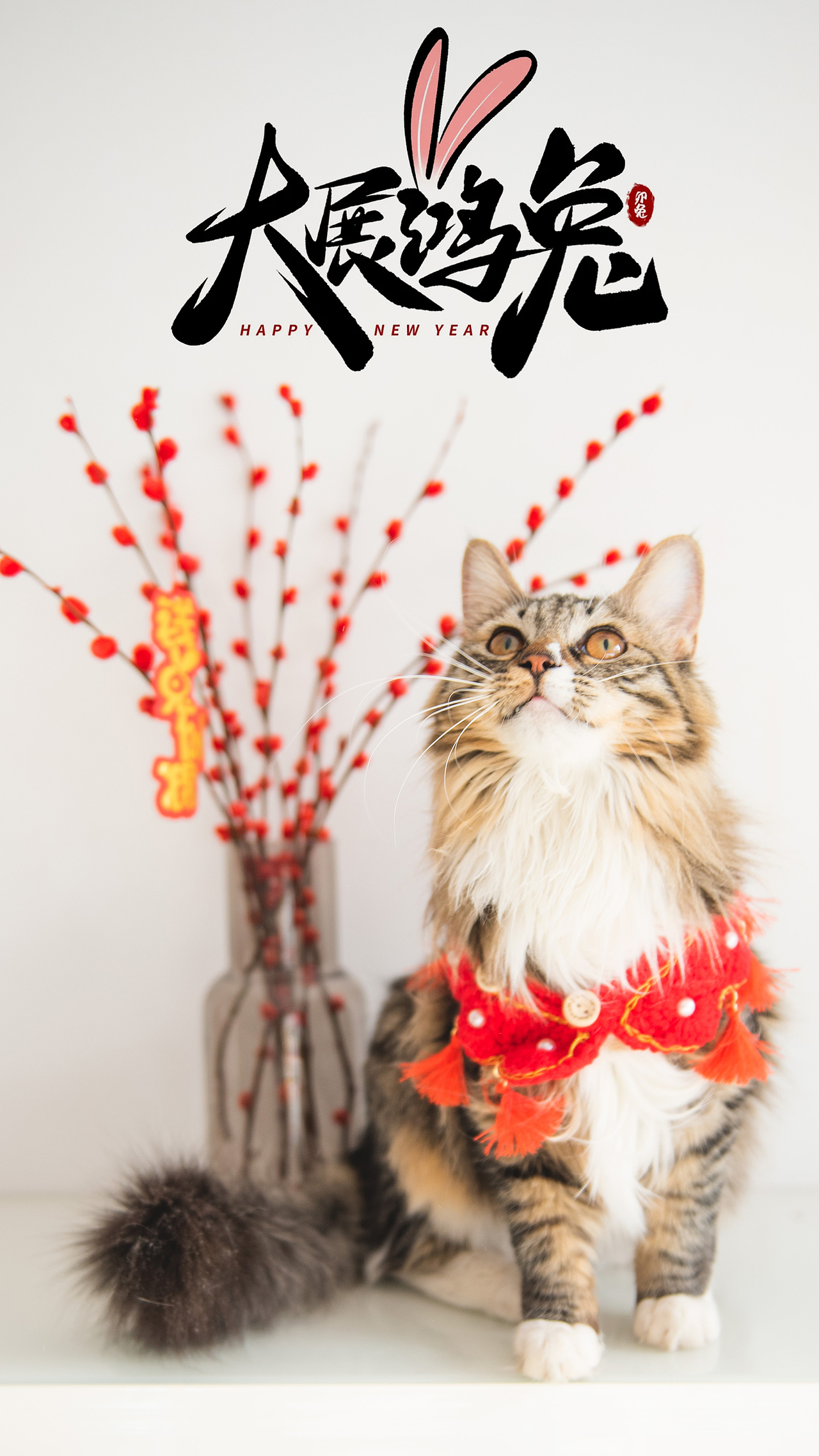 补发一下过年时候的桃桃图图（图ZMzQ1OTQ2OTk2） - 宠物摄影 - 站酷设计师梅柒鹤子原创素材 - 站酷ZCOOL