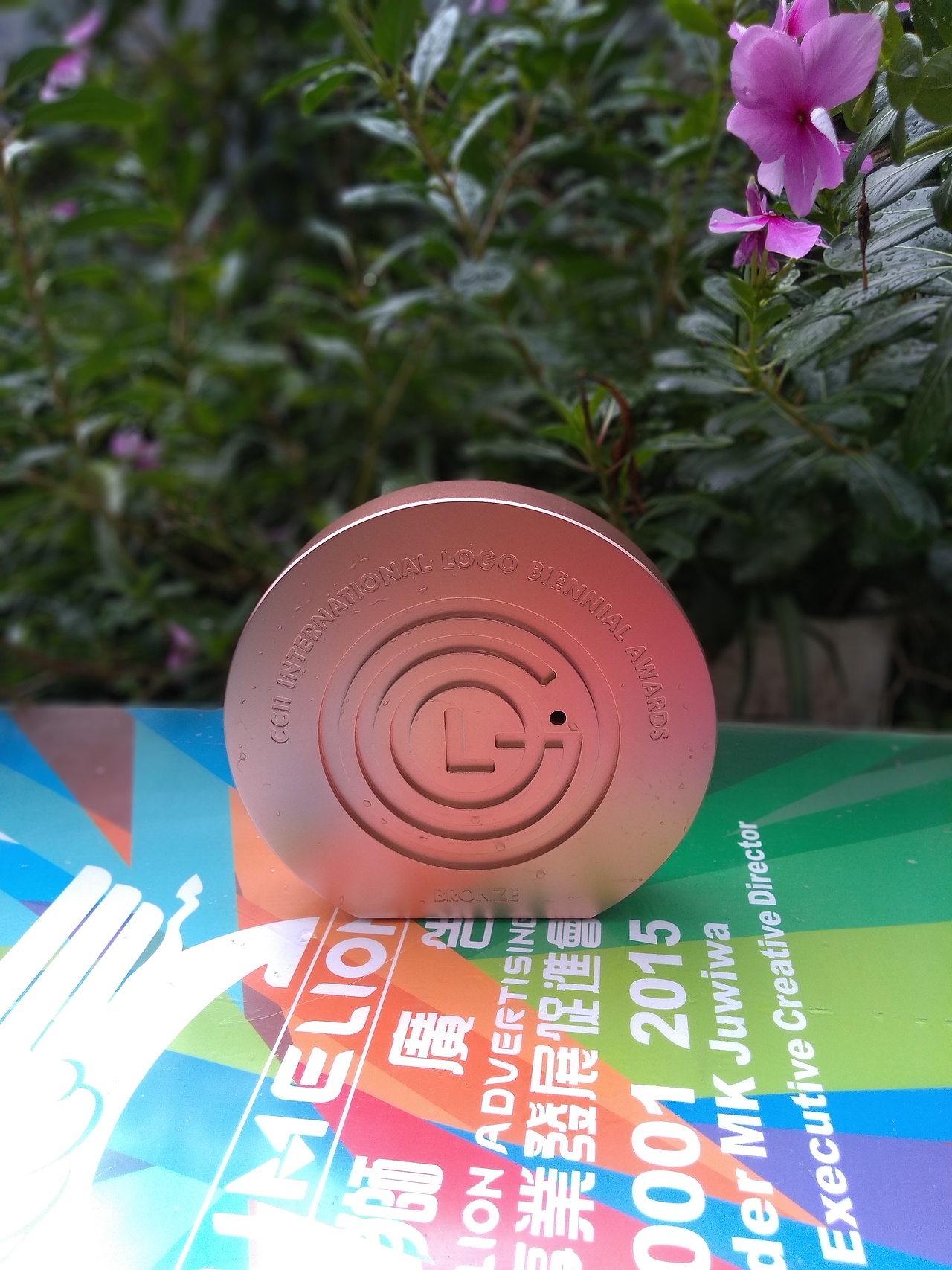 第13届CCII国际双年奖获奖 奖杯 