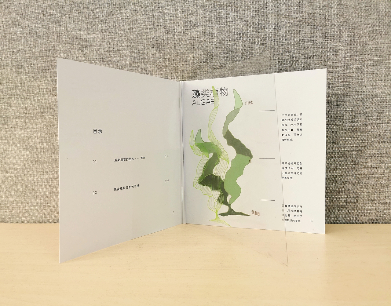 关于藻类、苔藓、蕨类植物的书籍设计丨Book Design（图ZMzIxNjAwNjI4） - 书籍/画册 - 站酷设计师我在月球修马路原创素材 - 站酷ZCOOL