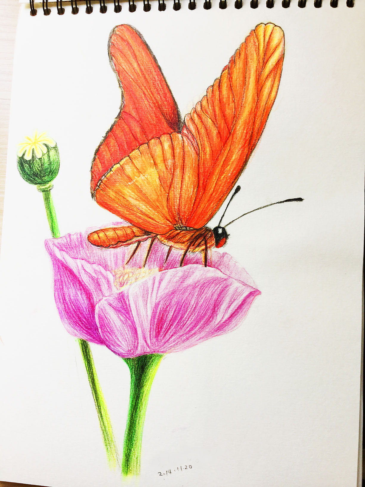 臨摹手繪練習(xí)（圖ZMzMzNTU1MTg4） - 繪畫 - 站酷設(shè)計師ChenSD原創(chuàng)素材 - 站酷ZCOOL