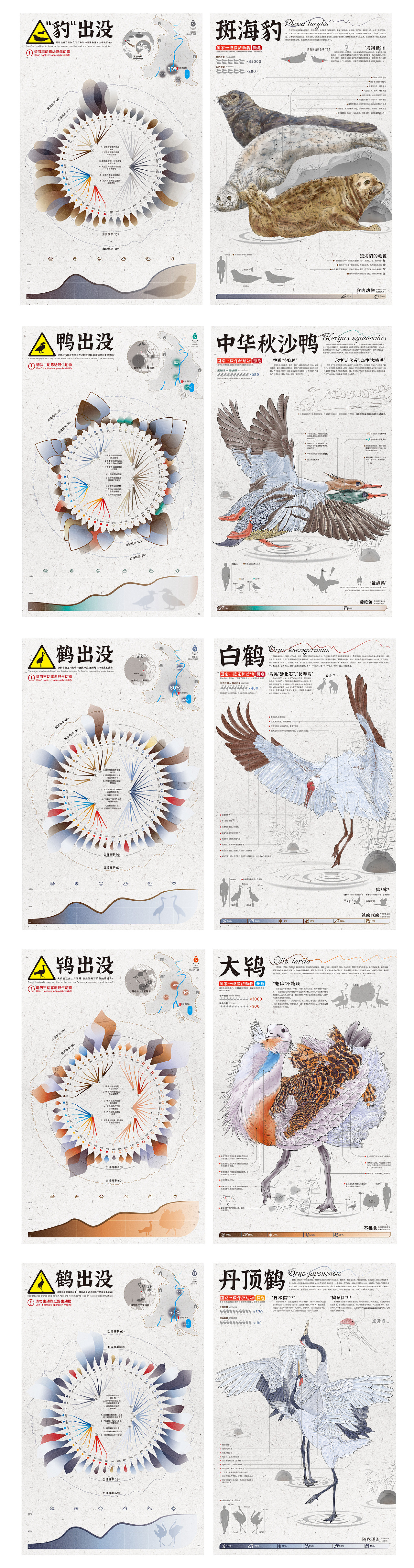 辽河口国家公园野生动物信息可视化设计