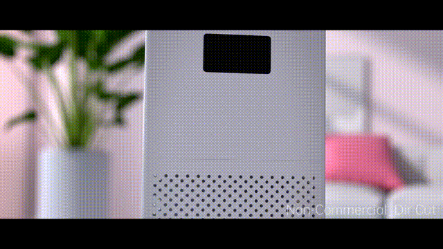 空气净化器 X 《呼吸大自然》X Dir Cut小样