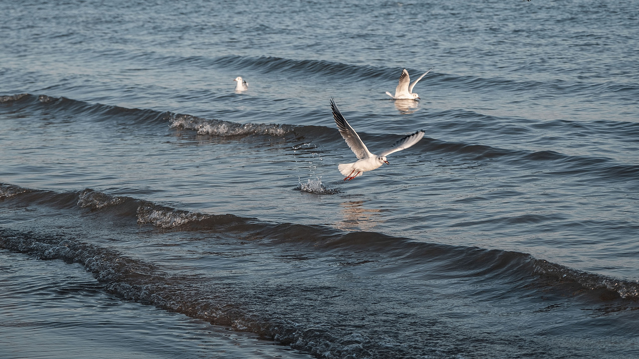 晨曦初露，夕阳西下，我们一直在追寻自己内心的光芒（图ZMzMzOTg2MDE2） - 人像摄影 - 站酷设计师修图师张欢原创素材 - 站酷ZCOOL