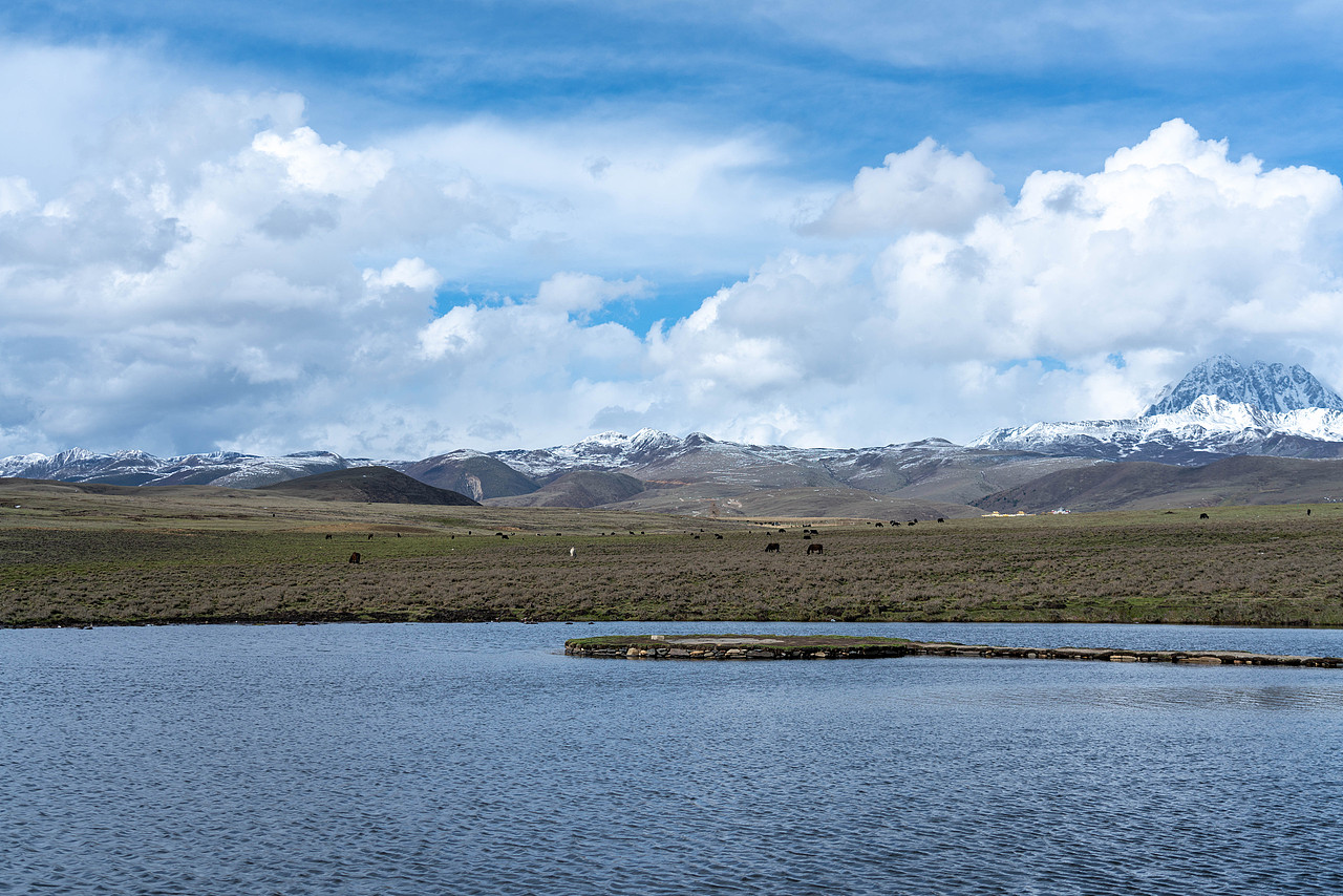 湖水 草原 雪山 蓝天 白云